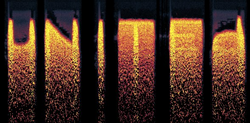 Marathon-Doc-image7.png
