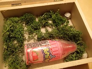 青蛙分数：打开的盒子22.jpg