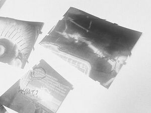 360px-Oddworld WB13 VLAP3662.jpg