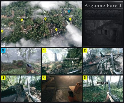 阿尔贡森林（Argonne Forest）。
