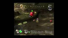 VARIED WONDER Thumbnail