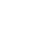 Wander - T
