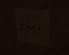 2-29-1
