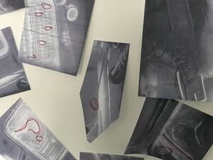 480px-Oddworld CWB8 0GE03866.jpg