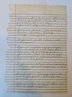 Tender-40e9b07c0d5004.jpg