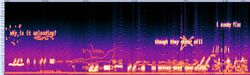 ONTOS-Hotel samsara combined spectrogram 2.jpg