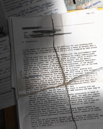 发给 Sztajnkrycer 博士的邮件；社区英文转录。