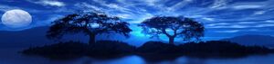 Moon banner2 192.jpg