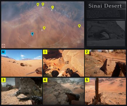 西奈沙漠（Sinai Desert）。
