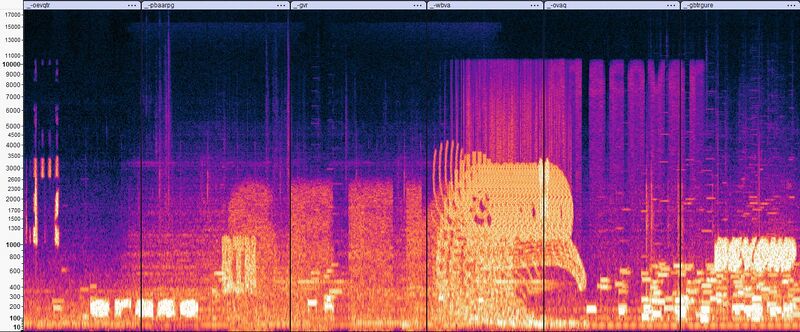 文件:ONTOS-Hotel samsara combined spectrogram.jpg