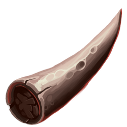 Necromancy-Echidna-spine.png