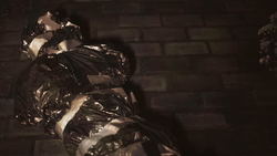 BloodForTrade-BodyBag-frame.png