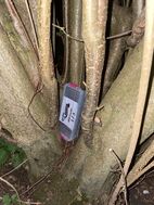 藏匿卡牌的容器。