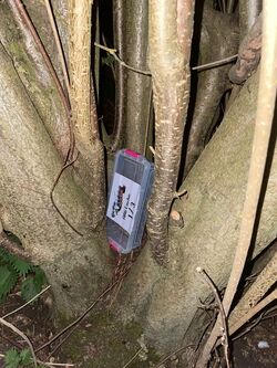 Runestone-Tarot UK Cache.jpg