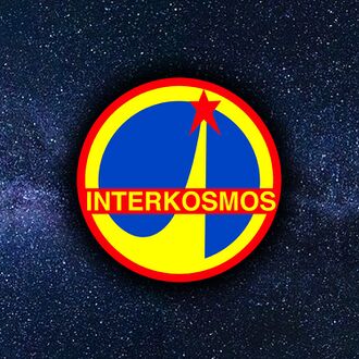 国际宇宙计划标志。