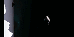 Interloper-Ordinanceview-276.gif