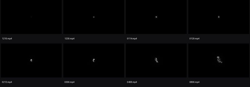 文件:Amnesia-Rebirth-embryo-stages.jpg